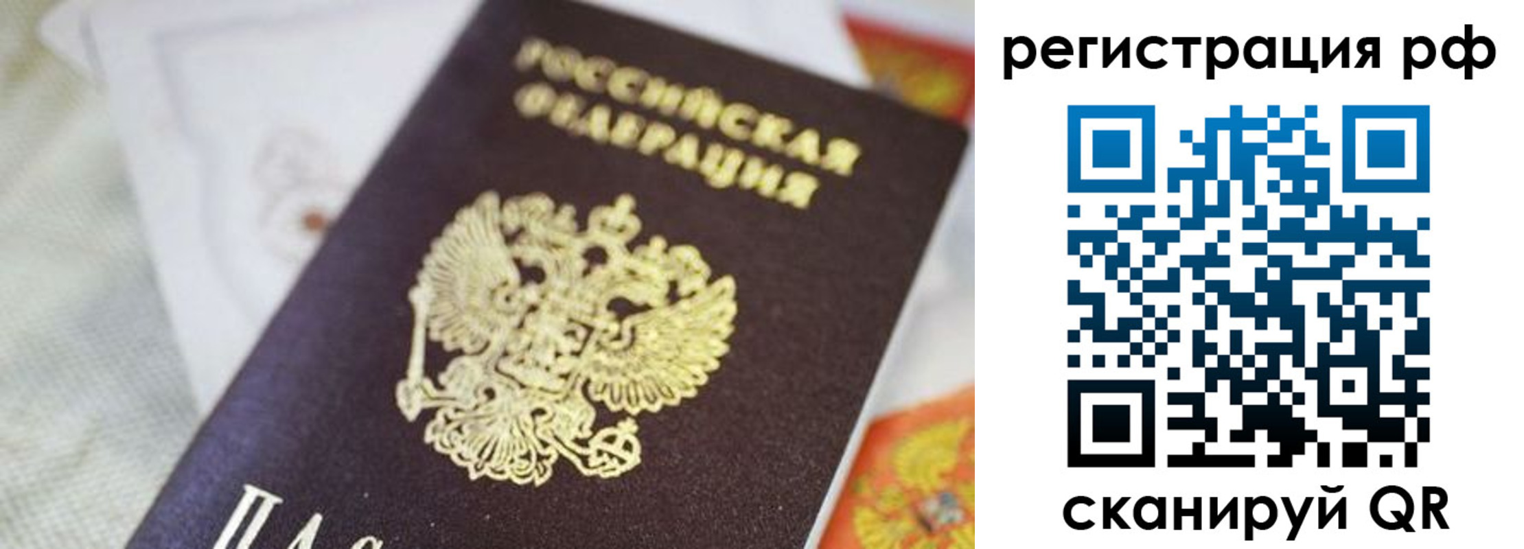 прописка гарантия в Приморском крае